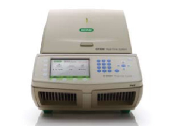 美国BIO-RAD CFX96实时定量PCR仪