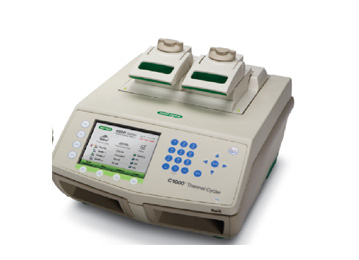 美国BIO-RAD C1000PCR仪