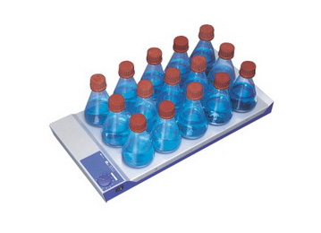 IKA  RT/RO加热/磁力搅拌器